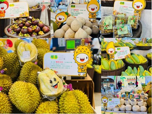 第三届厦门天虹超市泰国水果节开启